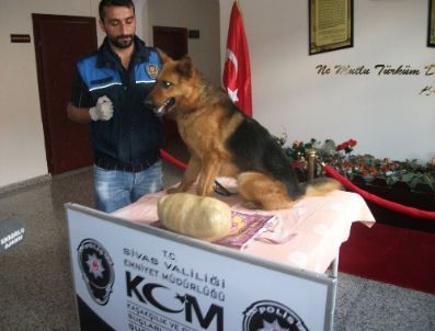 Sivas’ta 30 Bin Tl Değerinde Afyon Sakızı Ele Geçirildi