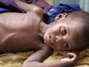 Afrika Boynuzu, kuraklığın pençesinde