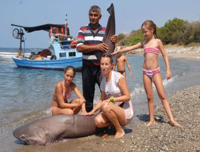 Balıkçı Ağına Ölü Köpek Balığı Takıldı