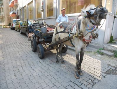 Giresun’da At Arabaları Tarih Oluyor