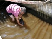 (özel Haber) Evladı Gibi Baktığı Balığını Doğal Ortamına Bıraktı