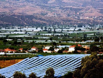 Sarıgöl Ovası Örtü Altına Alındı