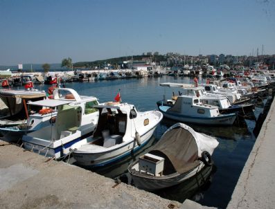 Vatandaşlardan Yırtık Bayrak Tepkisi