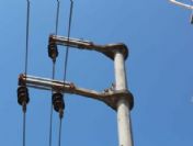 Yavru Kedi Direkte Mahsur Kaldı