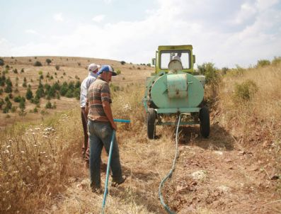 NOHUTLU - Yozgat Çevre Orman Müdürlüğü Fidanları Kurumaması İçin Suluyor