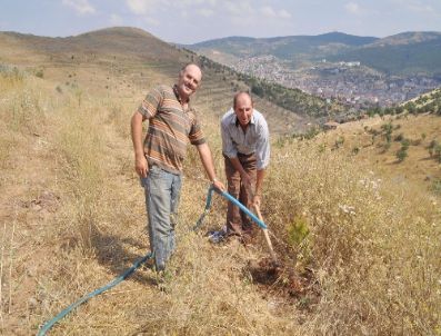 Yozgat Çevre ve Orman Müdürlüğü Fidanları Suluyor