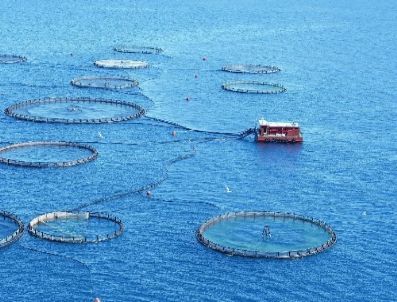 Deniz Yüzeyi Kiraları 10 Kat Düştü