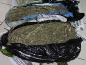 Diyarbakır`da 11 Kilo 750 Gram Esrar Ele Geçirildi