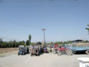 Erzincan’da Hububat Alımları Sürüyor