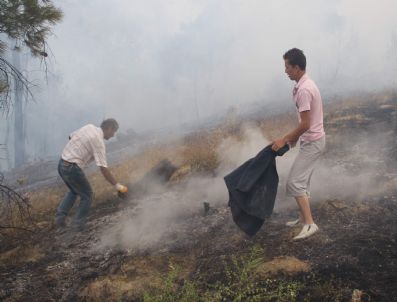 OSMAN KAHVECI - Karabük`te Orman Yangını