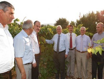 Vali Erkmen, Yenicekent`te İncelemelerde Bulundu