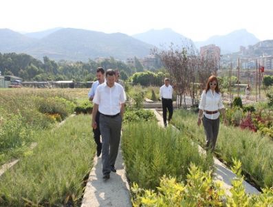 Başkan Savaş Belediye Hizmetlerini Yerinde İnceledi