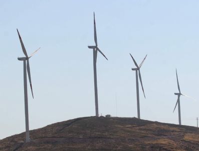 Rüzgar Gülü Rüzgara Dayanamadı