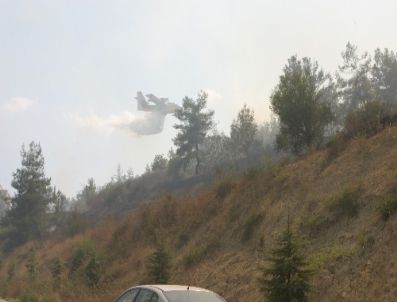 ÇATALAN - Adana`daki Orman Yangını Sürüyor