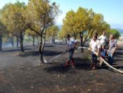 Ayvalık`ta 1,5 Saat Arayla İki Farklı Noktada Yangın Çıktı