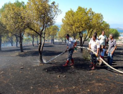 Ayvalık`ta 1,5 Saat Arayla İki Farklı Noktada Yangın Çıktı