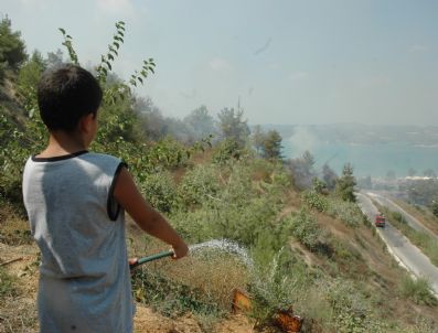 FIKRET KAYA - Mehmetçik Ormanı`nda Yangın