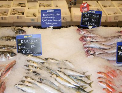 Metro Toptancı Market, Soyu Tükenmek Üzere Olan Çinekop ve Sarıkanatı Satmama Kararı Aldı