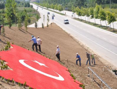 Türk Bayrağı Motifli Köprüde Peyzaj Çalışması
