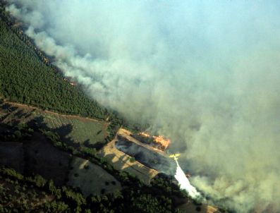 Çanakkale`de 9 Saatte Kontrol Altına Alınan Yangının Ardından