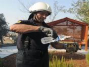 Mehmetçik Ormanı`ndaki Yangın