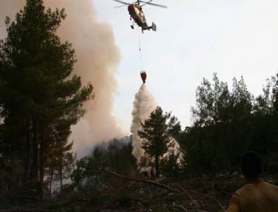 Ortaca’da Orman Yangını