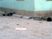 Pervari`de Öldürülen 2 Terörist Askeri Üniforma İle İlçeye Sızmış