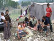 Fındık İşçileri Mağdur