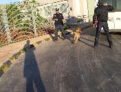 Gümrükte 875 Bin Tl‘lik ‘Kaçak Mal‘a El Konuldu