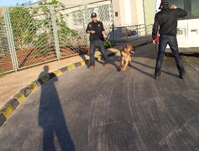 Gümrükte 875 Bin Tl‘lik ‘Kaçak Mal‘a El Konuldu