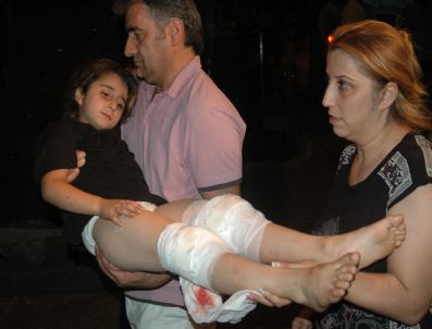 İstanbul Bağcılar'da Pitbull Dehşeti