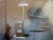 Köpekler Kovalayınca Aydınlatma Direğine Çarptı