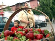 Sahurda Çilek Yiyenler Oruç Tutarken Susamıyor