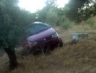 Şarampole Yuvarlanıp Kovanlara Çarpan Araçtaki 2 Kişiyi Arılar Soktu