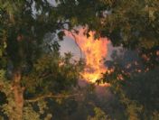 Çan`daki Orman Yangını Devam Ediyor