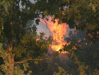 Çan`daki Orman Yangını Devam Ediyor