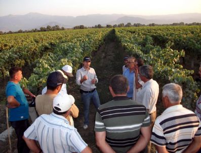 Çiftçi Salkım Güvesine Karşı Bilgilendirildi