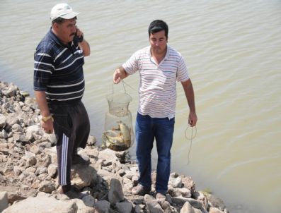 Kilis`te Balık Avı İçin Göletlere Akın
