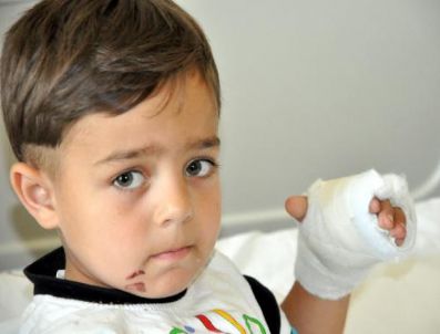 Maytap Avucunu Deldi