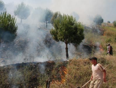 Muğla’da Orman Yangını