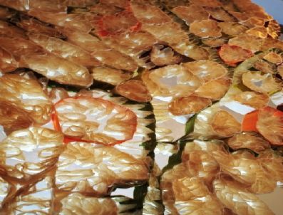 Sanat Çalışmalarında Bağırsak Malzemesi Kullanıyor