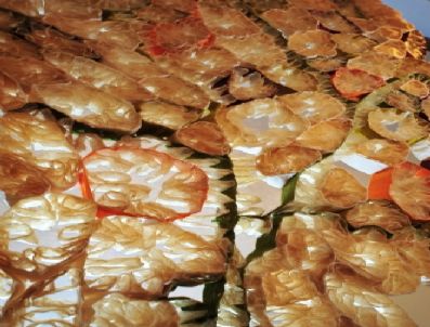 Sanat Çalışmalarında Bağırsak Malzemesi Kullanıyor