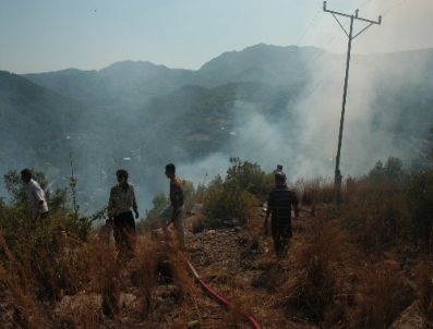 MEHMETLI - Sumbas’ta Orman Yangını Çıktı, Sabotaj İhtimali Üzerinde Duruluyor