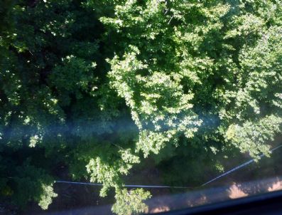 Uludağ`daki Plastik Bandajlar Temizlenmeli