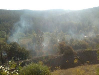 BALıKÖY - Unutulan Piknik Ateşi 2 Hektarlık Ormanı Kül Etti