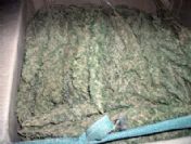 Akçakale`de 53 Kilo Kubar Esrar Ele Geçirildi