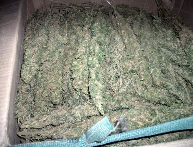 Akçakale`de 53 Kilo Kubar Esrar Ele Geçirildi