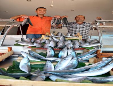 MUSTAFA KARA - Balık Tezgahları Canlanıyor