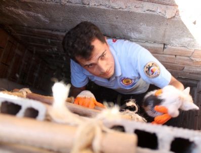 Havalandırma Boşluğuna Düşen Yavru Kediyi İtfaiye Kurtardı