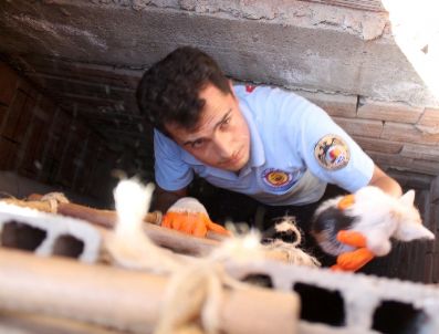 Havalandırma Boşluğuna Düşen Yavru Kediyi İtfaiye Kurtardı